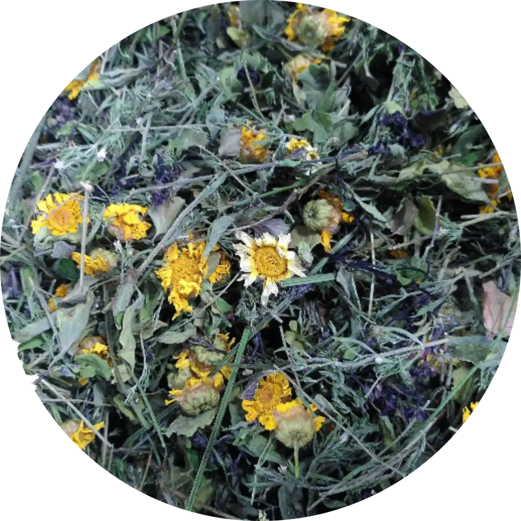 Caramba ! - Les Potions de Mana 