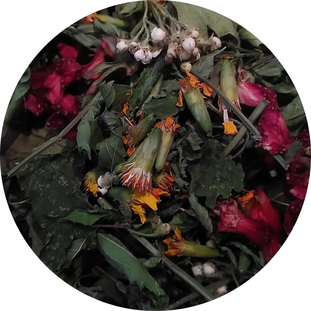 Salakazouh - Les Potions de Mana
