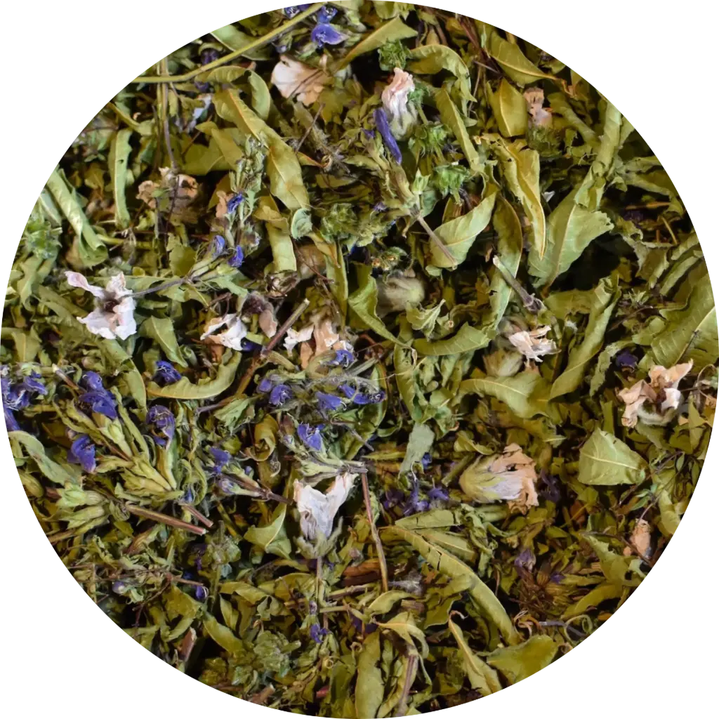 Abracadrabra - Les Potions de Mana