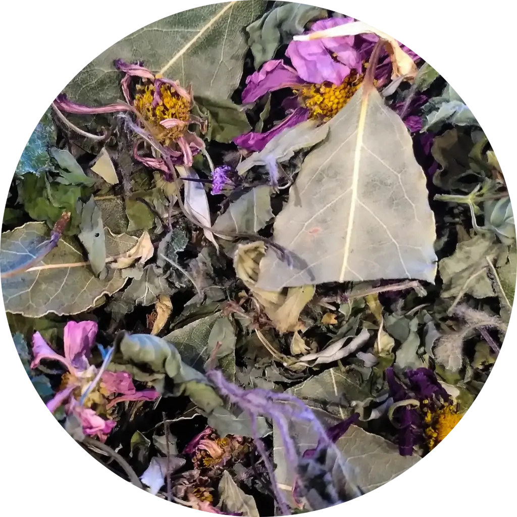 Magicabou - Les Potions de Mana