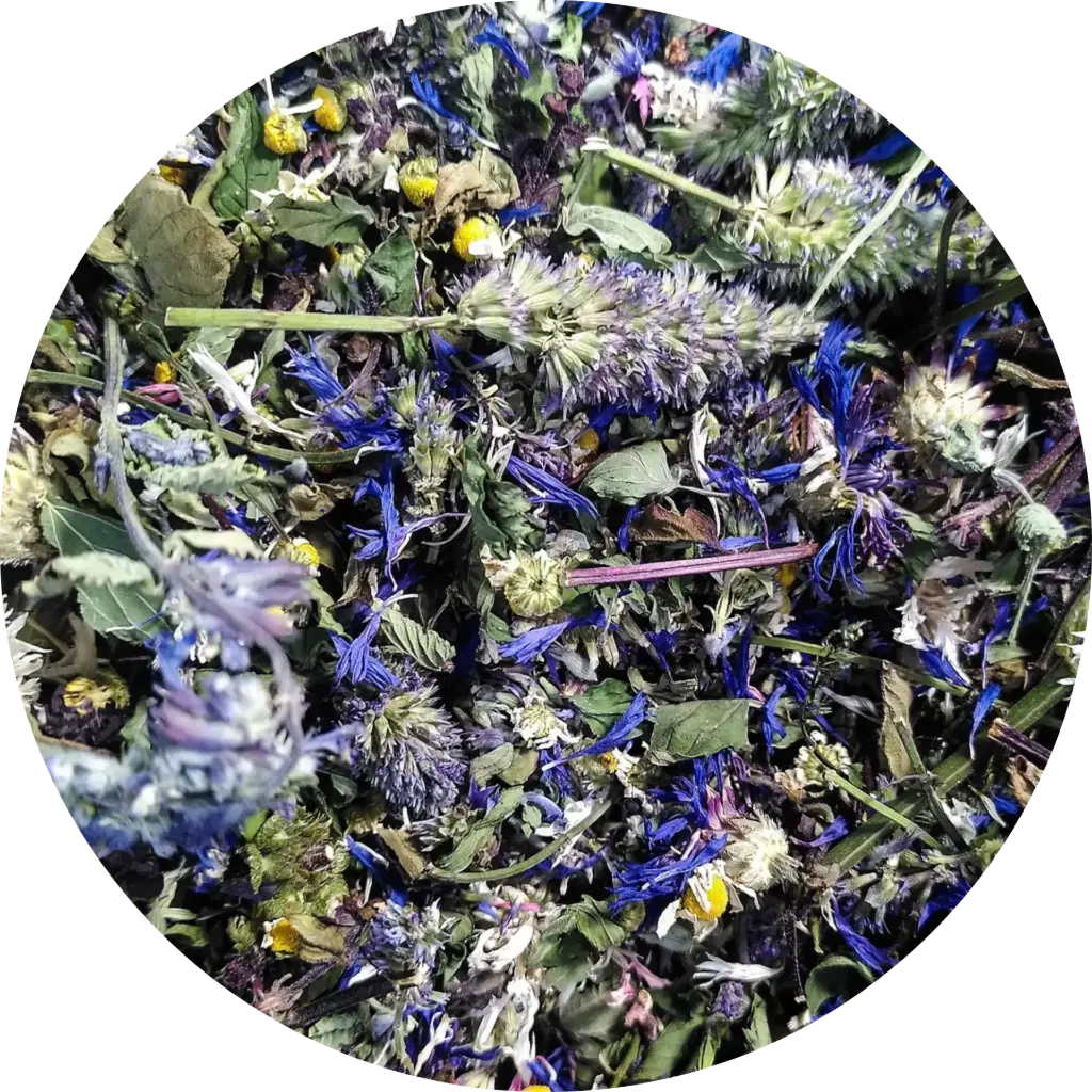 Expialidocious - Les Potions de Mana 