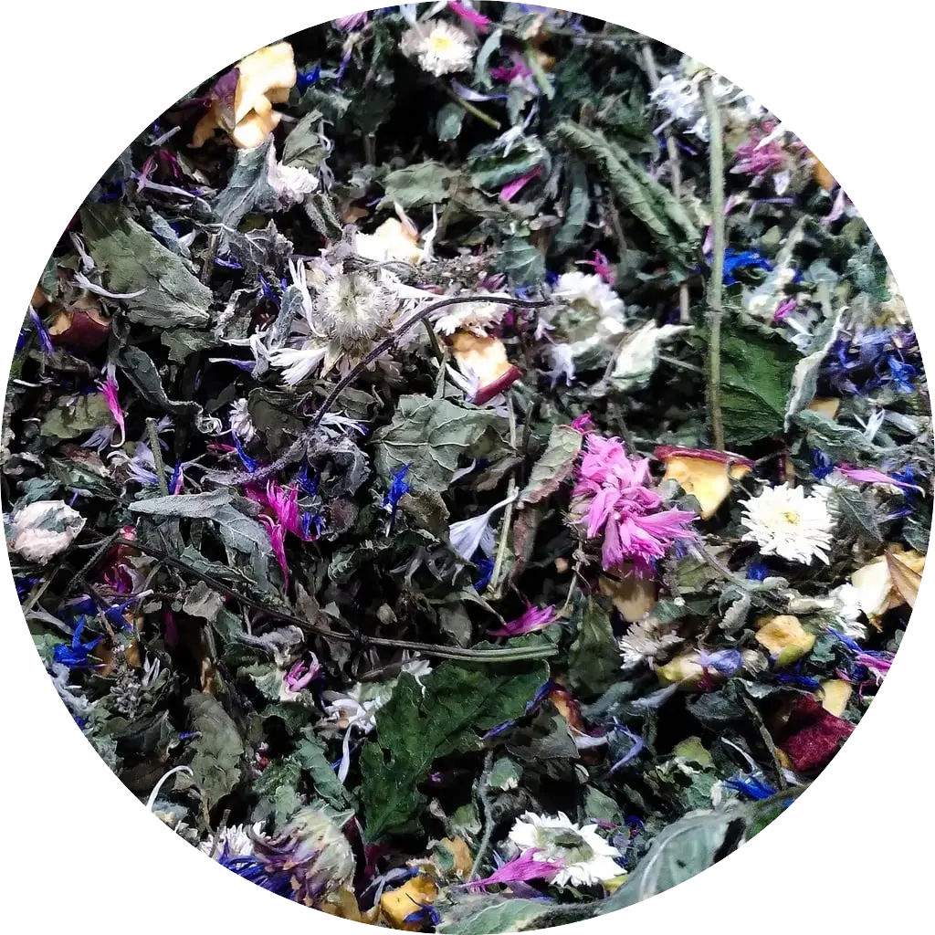 Pompompidou - Les Potions de Mana