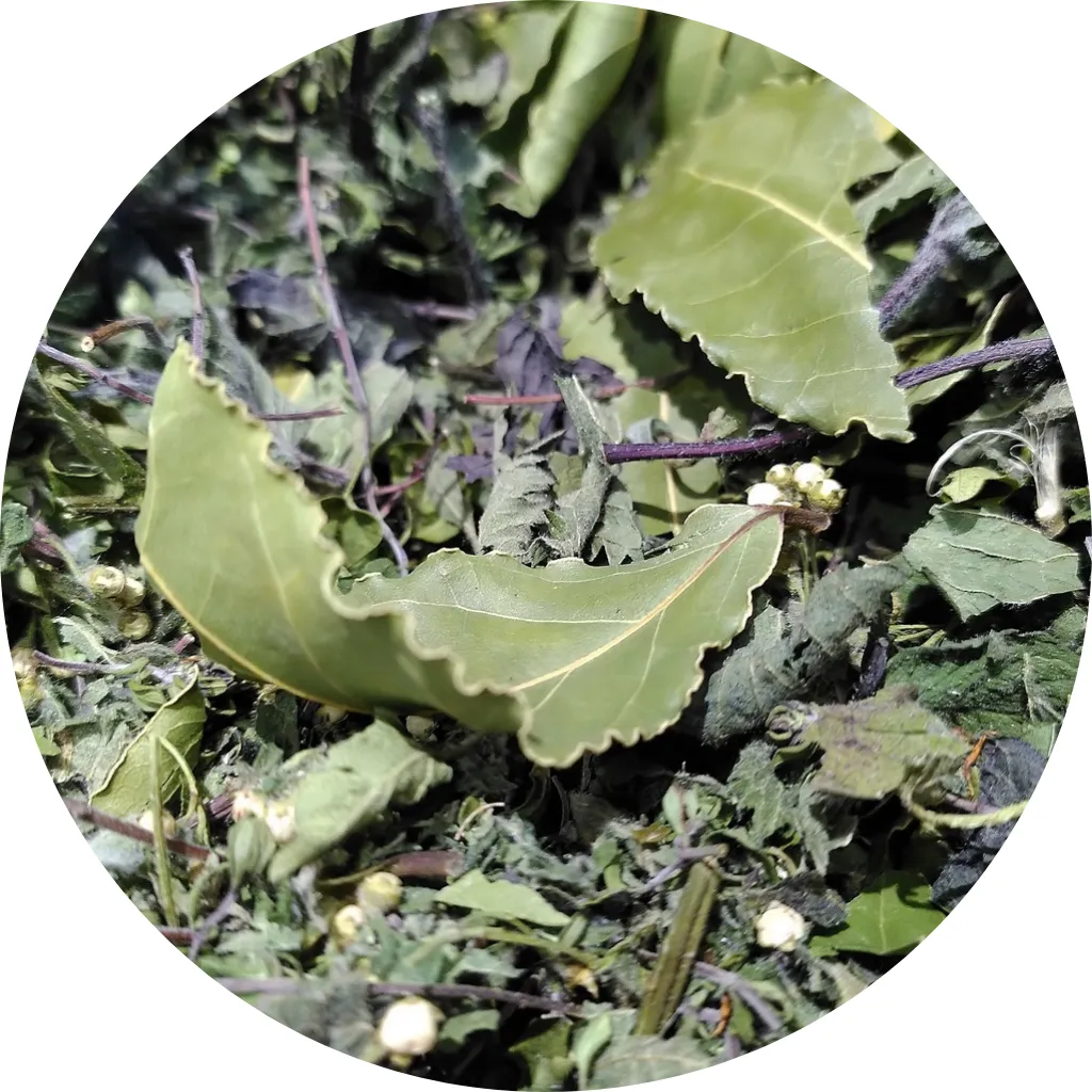 Accio - Les Potions de Mana