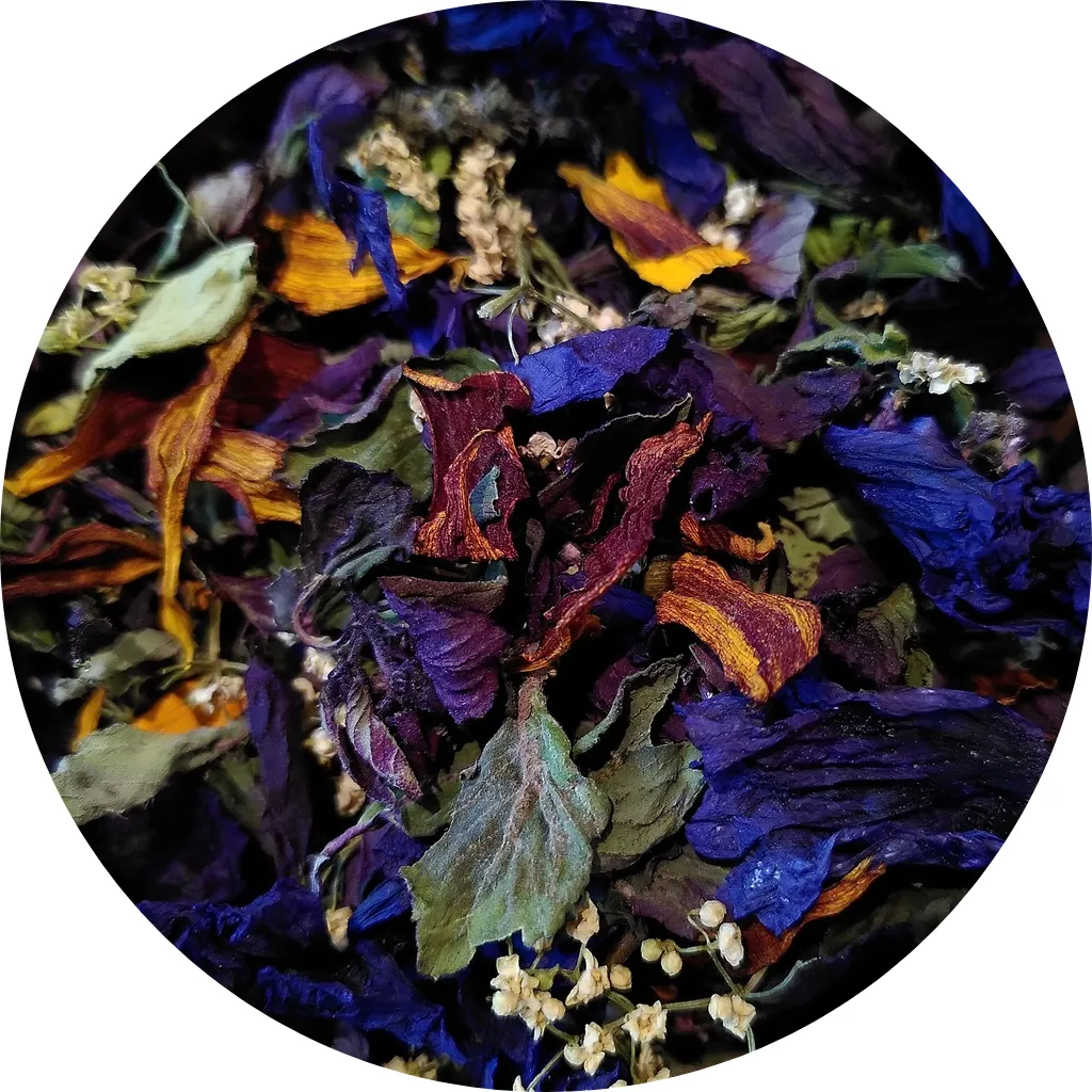 Bibibi Bobidi Bou - Les Potions de Mana