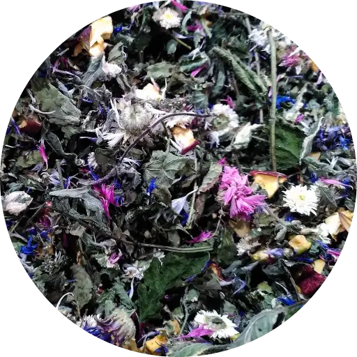 Pompompidou - Les Potions de Mana