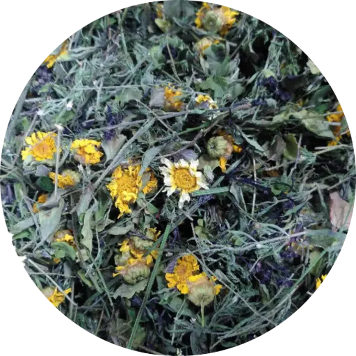 Caramba ! - Les Potions de Mana 