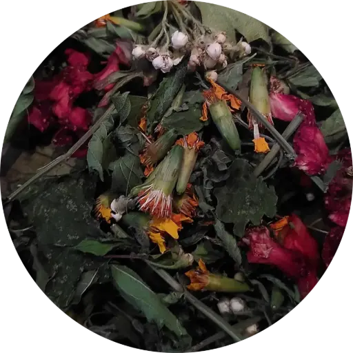 Salakazouh - Les Potions de Mana