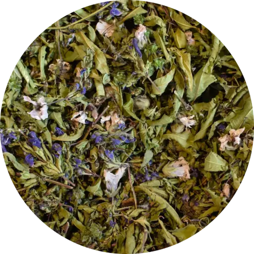 Abracadrabra - Les Potions de Mana