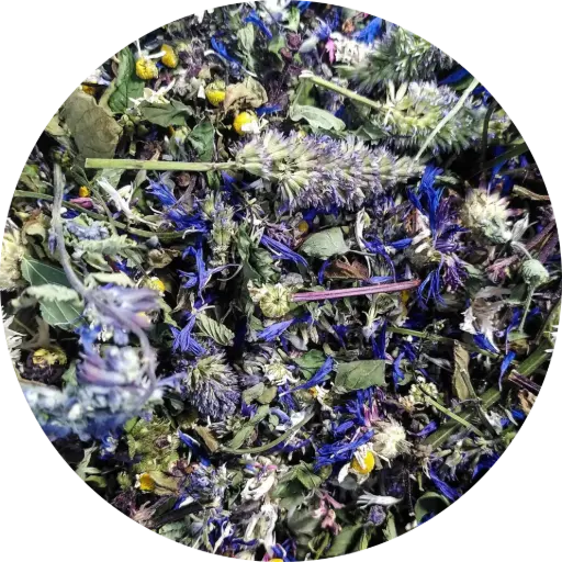 Expialidocious - Les Potions de Mana 